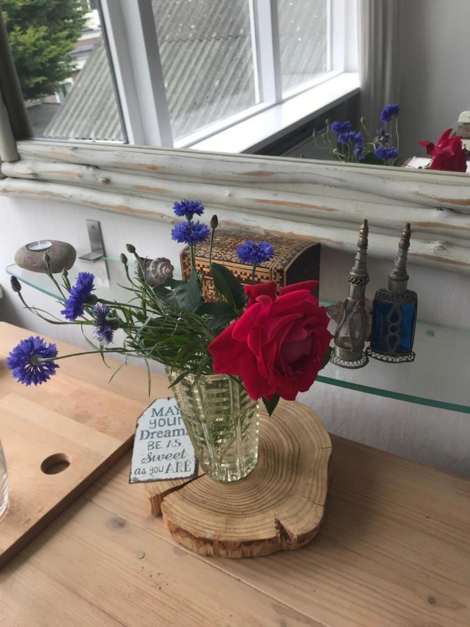 B&B Bij De Zee Centre Of Julianadorp 10 Min From Beaches ภายนอก รูปภาพ