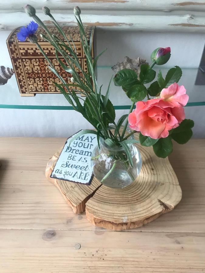 B&B Bij De Zee Centre Of Julianadorp 10 Min From Beaches ภายนอก รูปภาพ